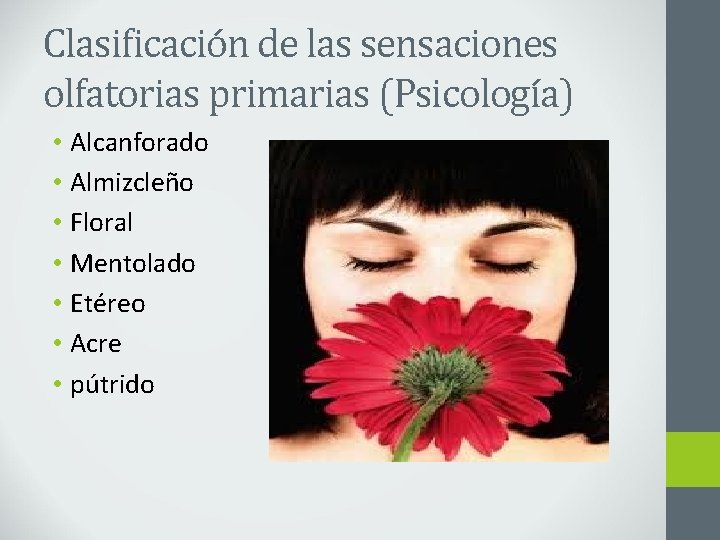 Clasificación de las sensaciones olfatorias primarias (Psicología) • Alcanforado • Almizcleño • Floral •