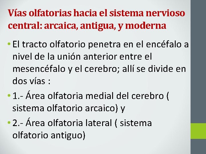 Vías olfatorias hacia el sistema nervioso central: arcaica, antigua, y moderna • El tracto