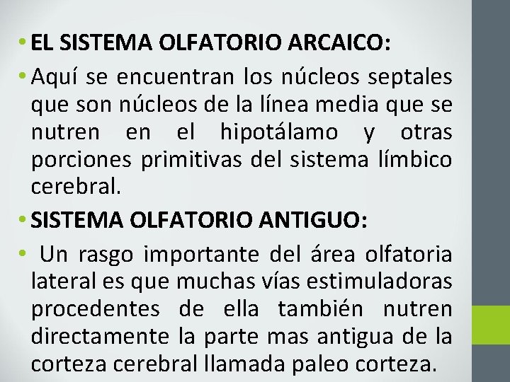  • EL SISTEMA OLFATORIO ARCAICO: • Aquí se encuentran los núcleos septales que