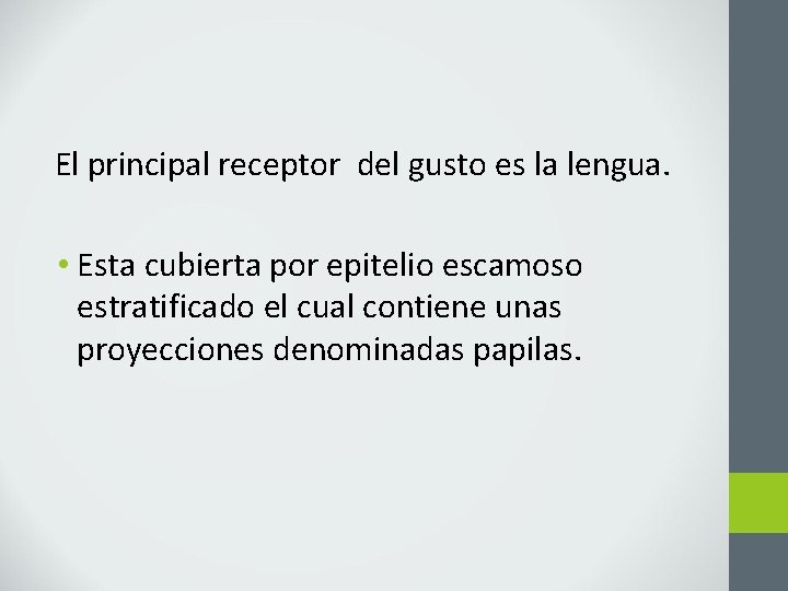 El principal receptor del gusto es la lengua. • Esta cubierta por epitelio escamoso