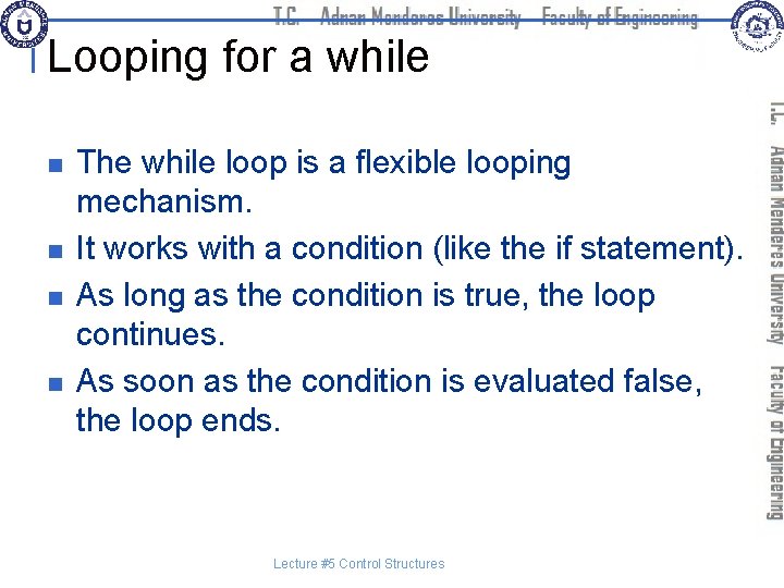 Looping for a while n n The while loop is a flexible looping mechanism.