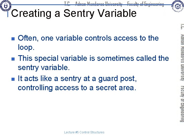 Creating a Sentry Variable n n n Often, one variable controls access to the