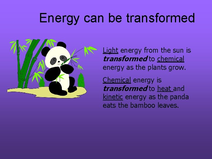 Energy can be transformed Light energy from the sun is transformed to chemical energy