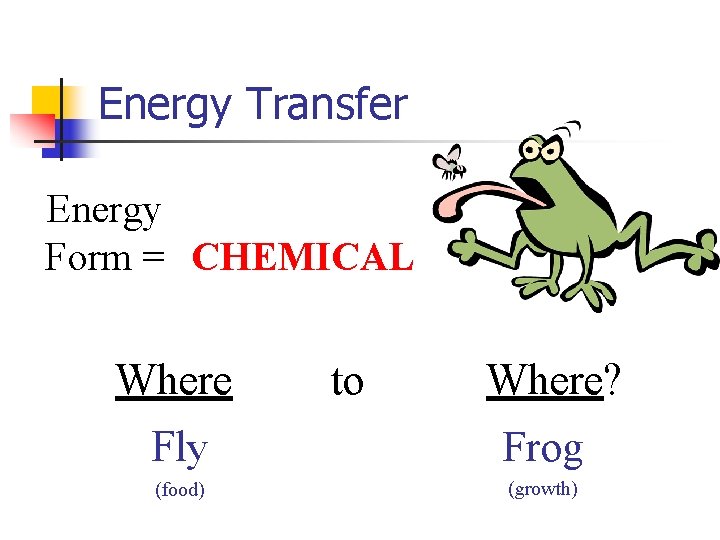 Energy Transfer Energy Form = CHEMICAL Where to Where? Fly Frog (food) (growth) 