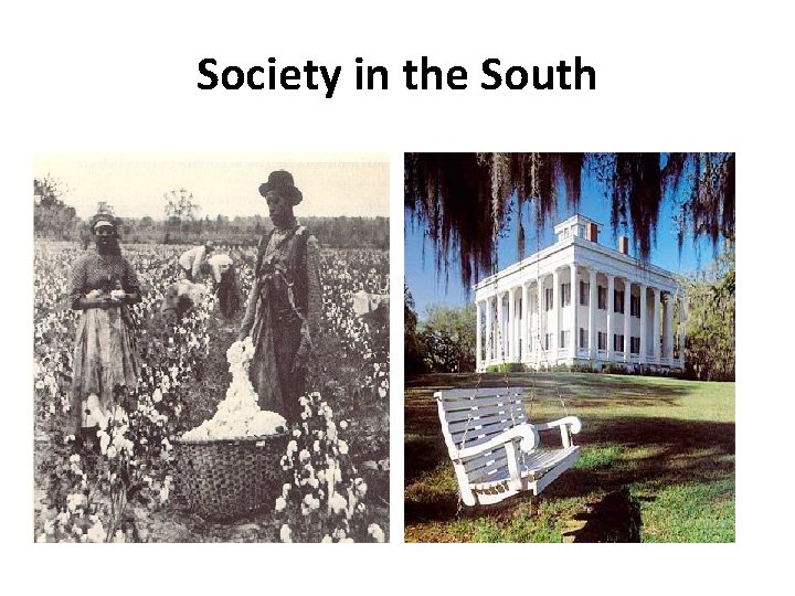 Society in the South Social Classes Slavery Question • Top: Rich plantation owners •
