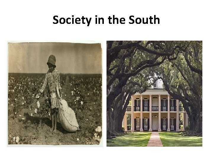 Society in the South White Southerners The Majority of Whites • Small group of