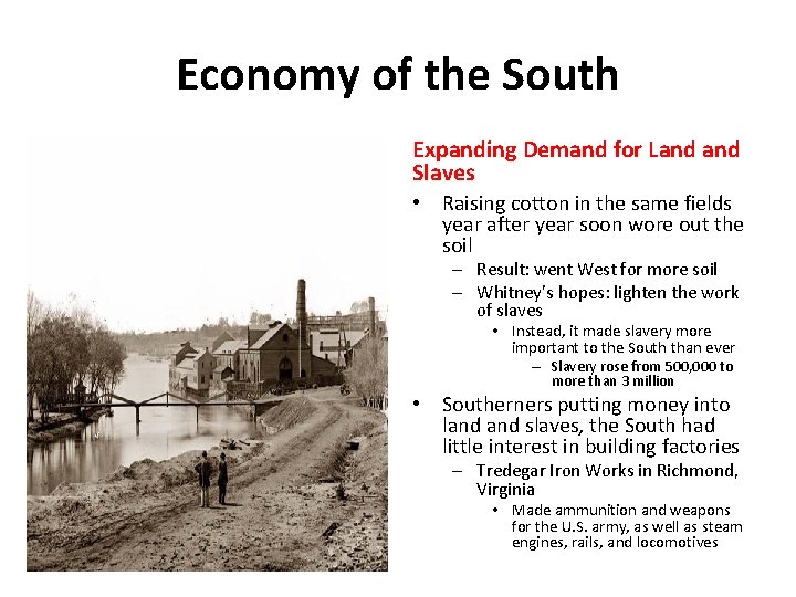 Economy of the South The Impact of the Cotton Gin Expanding Demand for Land