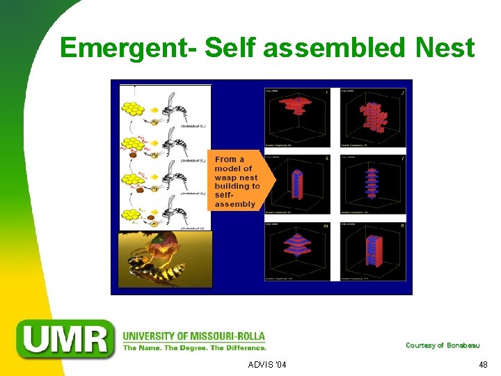 Emergent- Self assembled Nest Courtesy of Bonabeau ADVIS '04 48 