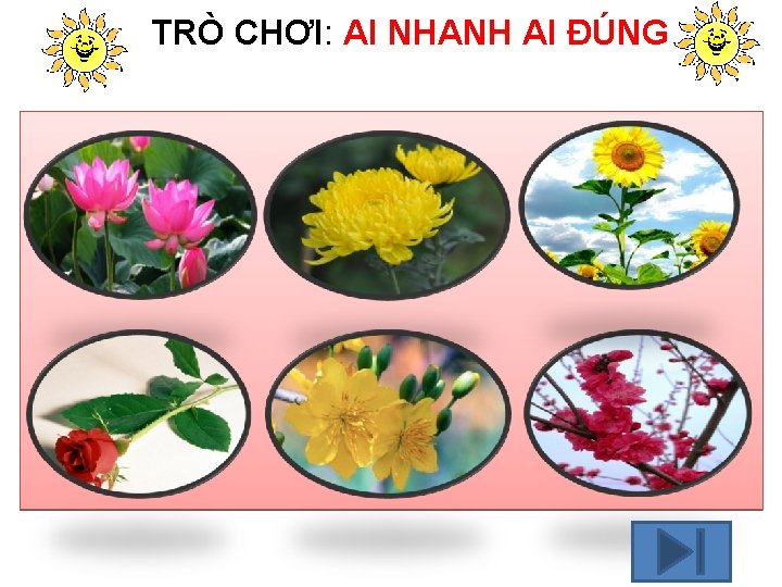 TRÒ CHƠI: AI NHANH AI ĐÚNG 