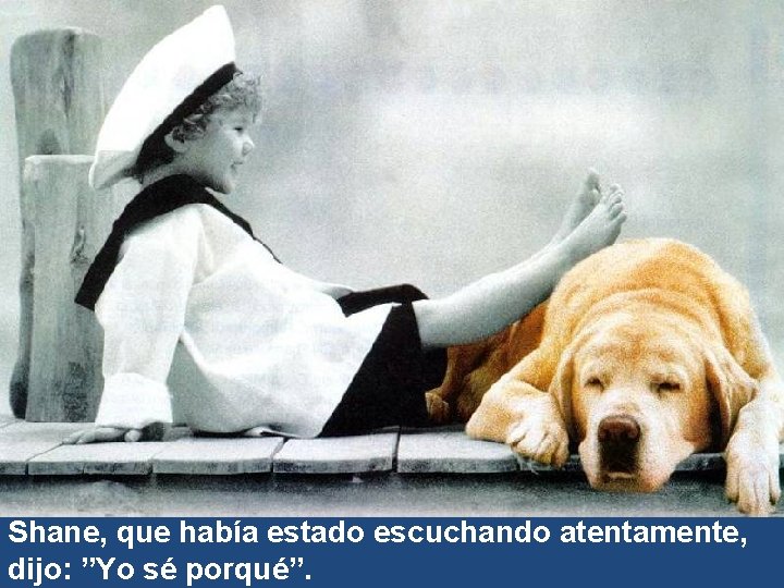 Shane, que había estado escuchando atentamente, dijo: ”Yo sé porqué”. 