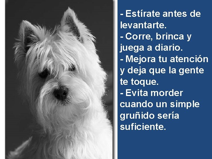 - Estírate antes de levantarte. - Corre, brinca y juega a diario. - Mejora