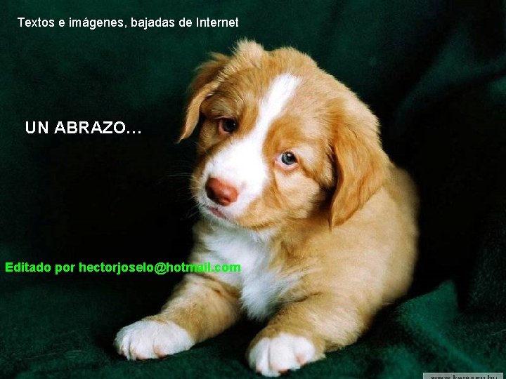 Textos e imágenes, bajadas de Internet UN ABRAZO… Editado por hectorjoselo@hotmail. com 