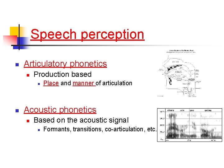 Speech perception n Articulatory phonetics n Production based n n Place and manner of