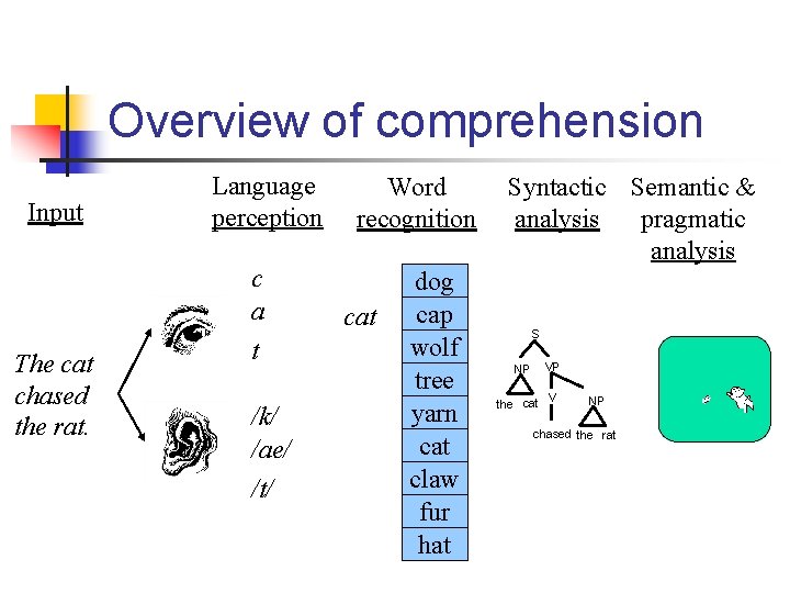 Overview of comprehension Input The cat chased the rat. Language perception c a t