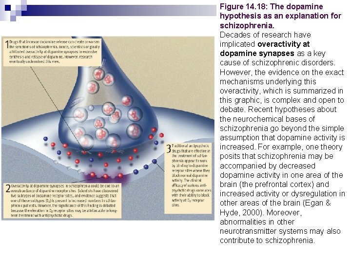 Figure 14. 18: The dopamine hypothesis as an explanation for schizophrenia. Decades of research