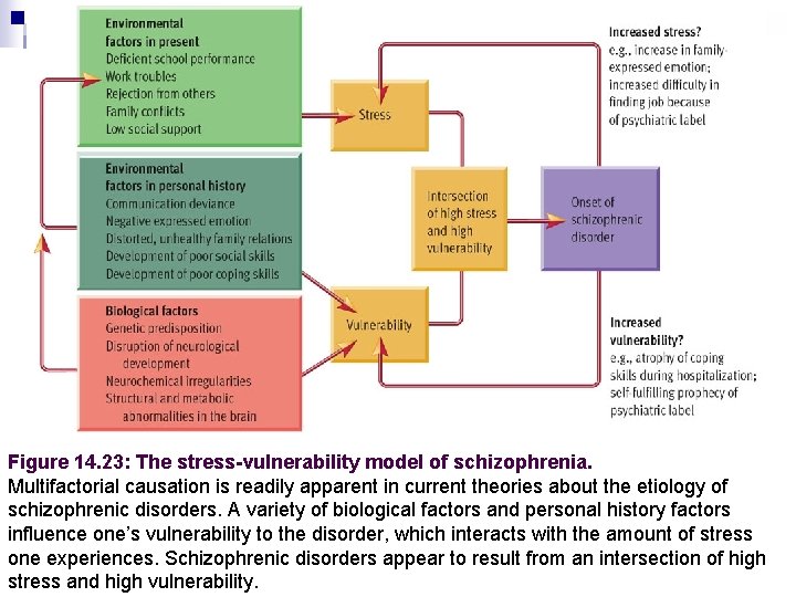 Figure 14. 23: The stress-vulnerability model of schizophrenia. Multifactorial causation is readily apparent in