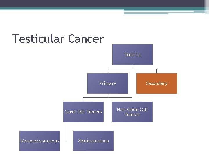 Testicular Cancer Testi Ca Primary Germ Cell Tumors Nonseminomatous Secondary Non-Germ Cell Tumors 