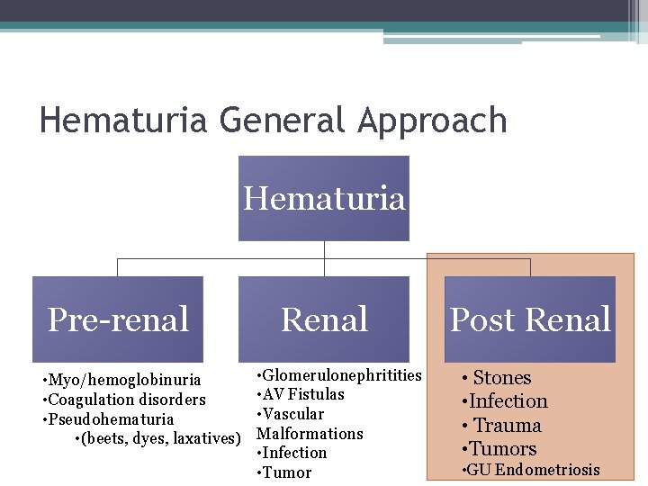 Hematuria General Approach Hematuria Pre-renal • Myo/hemoglobinuria • Coagulation disorders • Pseudohematuria • (beets,