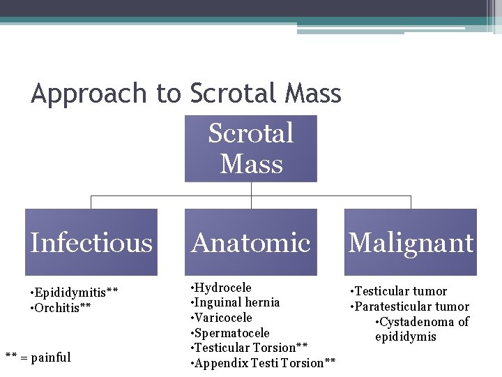 Approach to Scrotal Mass Infectious Anatomic Malignant • Epididymitis** • Orchitis** • Hydrocele •