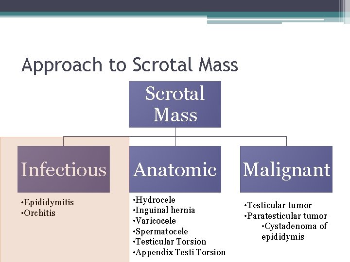 Approach to Scrotal Mass Infectious Anatomic • Epididymitis • Orchitis • Hydrocele • Inguinal
