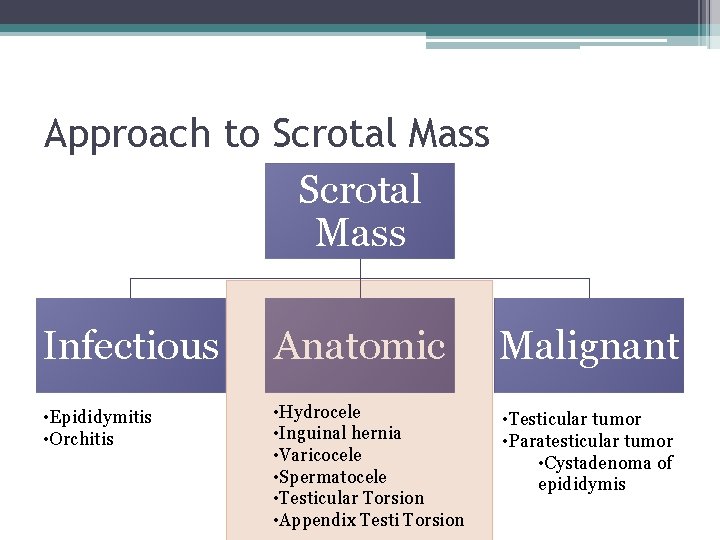 Approach to Scrotal Mass Infectious Anatomic Malignant • Epididymitis • Orchitis • Hydrocele •