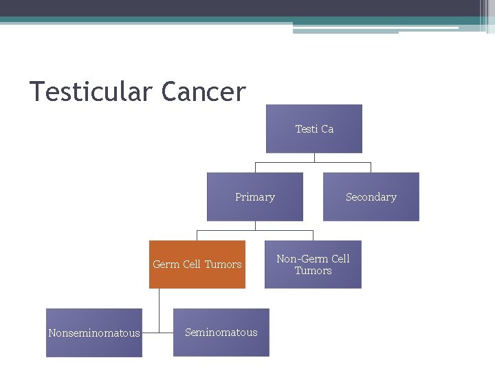 Testicular Cancer Testi Ca Primary Germ Cell Tumors Nonseminomatous Secondary Non-Germ Cell Tumors 