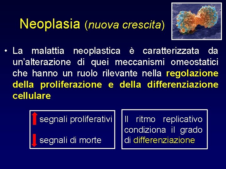 Neoplasia (nuova crescita) • La malattia neoplastica è caratterizzata da un’alterazione di quei meccanismi