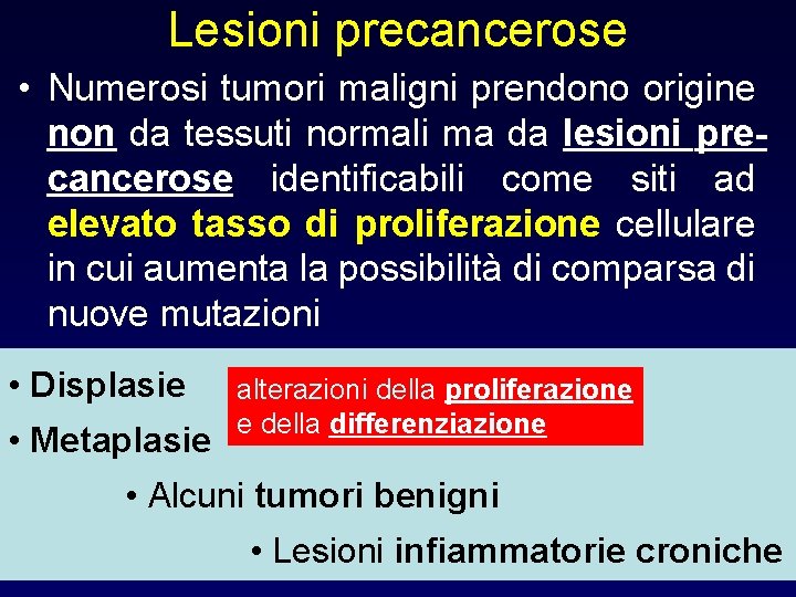 Lesioni precancerose • Numerosi tumori maligni prendono origine non da tessuti normali ma da