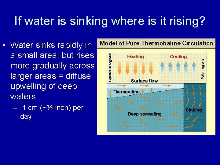 If water is sinking where is it rising? • Water sinks rapidly in a