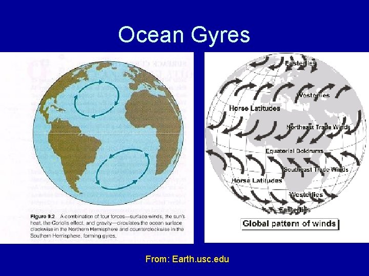 Ocean Gyres From: Earth. usc. edu 