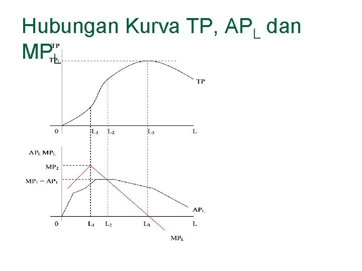 Hubungan Kurva TP, APL dan MPL 