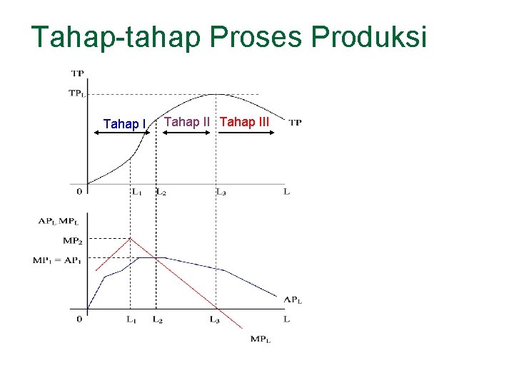 Tahap-tahap Proses Produksi Tahap III 