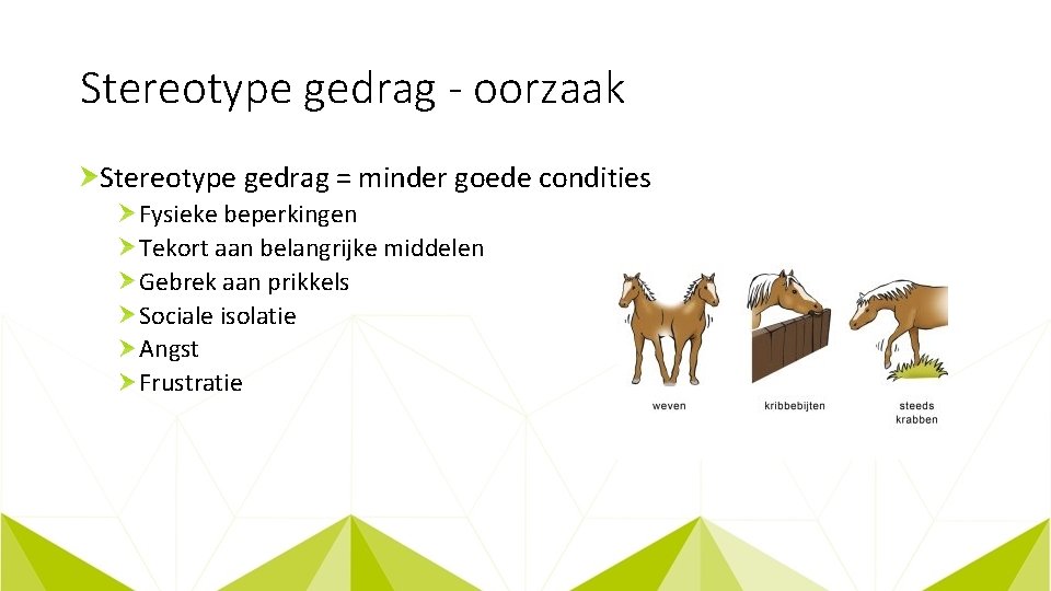 Stereotype gedrag - oorzaak Stereotype gedrag = minder goede condities Fysieke beperkingen Tekort aan