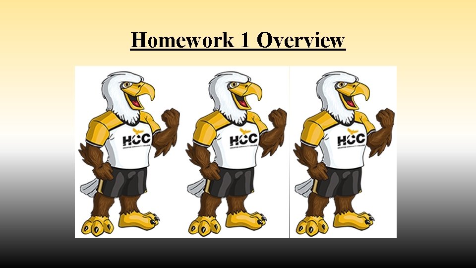 Homework 1 Overview 