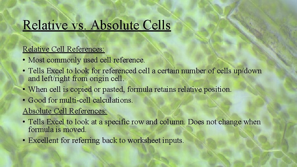 Relative vs. Absolute Cells Relative Cell References: • Most commonly used cell reference. •