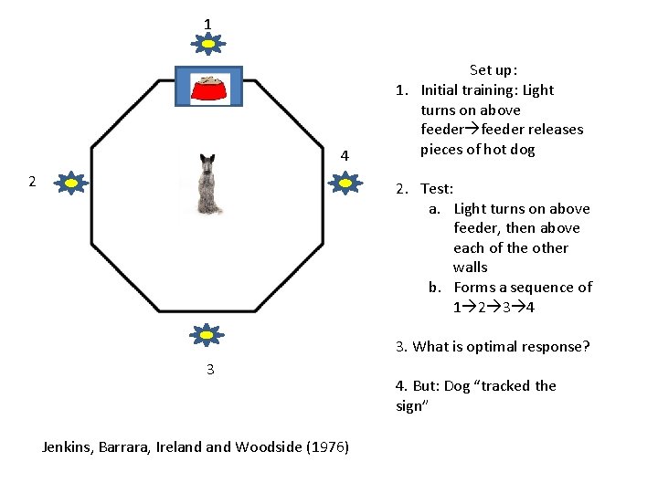 1 4 2 Set up: 1. Initial training: Light turns on above feeder releases