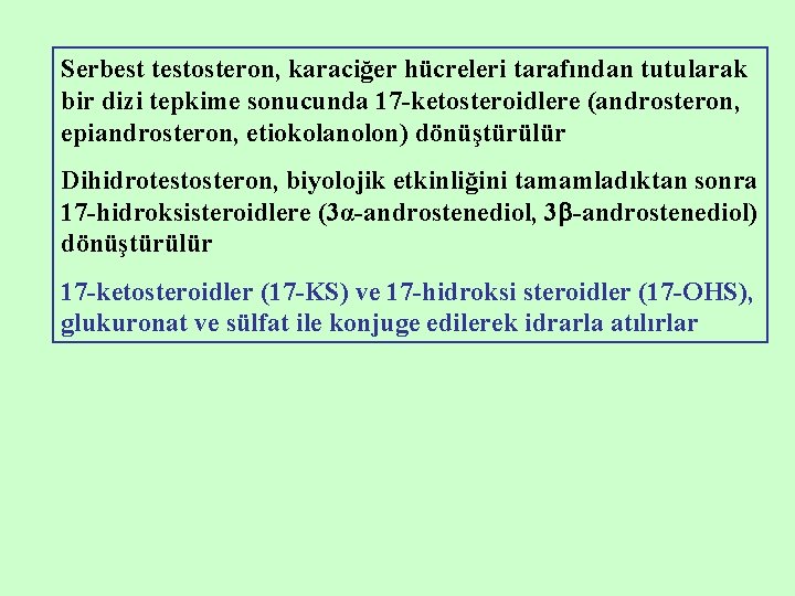 Serbest testosteron, karaciğer hücreleri tarafından tutularak bir dizi tepkime sonucunda 17 -ketosteroidlere (androsteron, epiandrosteron,