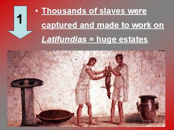 1 • Thousands of slaves were captured and made to work on Latifundias =