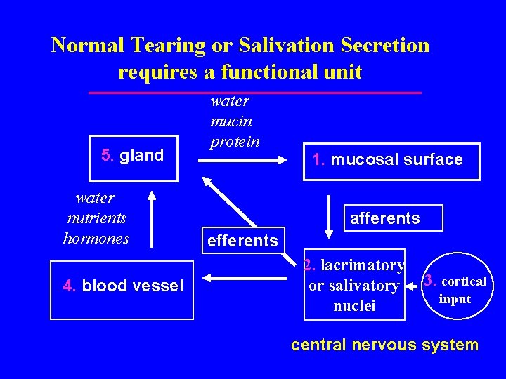 Normal Tearing or Salivation Secretion requires a functional unit 5. gland water nutrients hormones