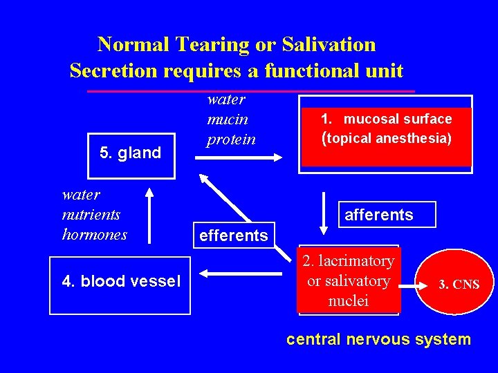 Normal Tearing or Salivation Secretion requires a functional unit 5. gland water nutrients hormones