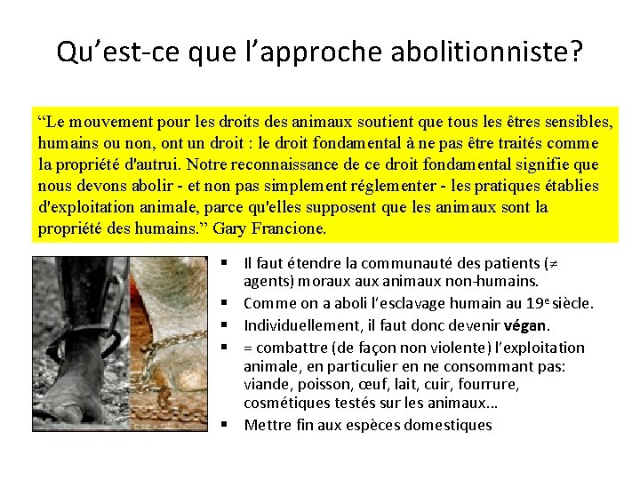 Qu’est-ce que l’approche abolitionniste? “Le mouvement pour les droits des animaux soutient que tous