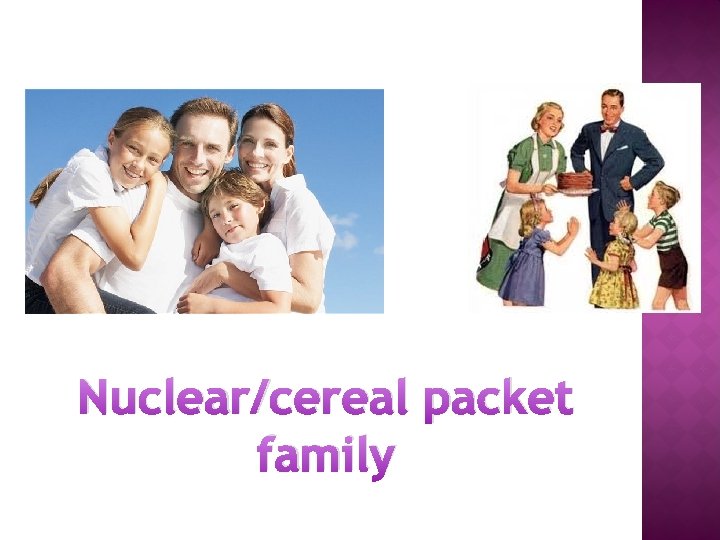 Nuclear/cereal packet family 