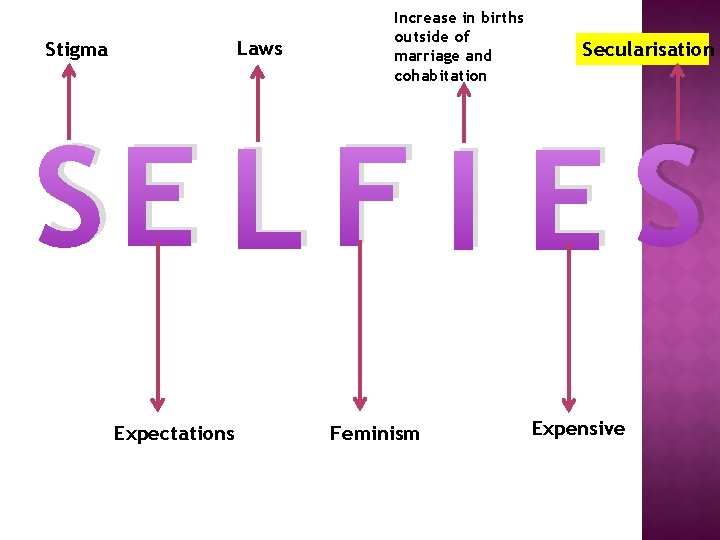 Laws Stigma Increase in births outside of marriage and cohabitation Secularisation SE L F