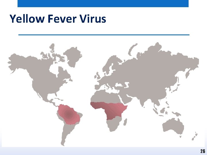 Yellow Fever Virus 26 
