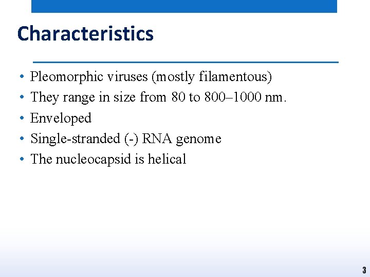 Characteristics • • • Pleomorphic viruses (mostly filamentous) They range in size from 80