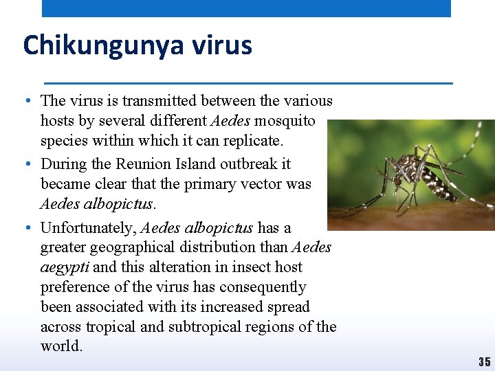 Chikungunya virus • The virus is transmitted between the various hosts by several different
