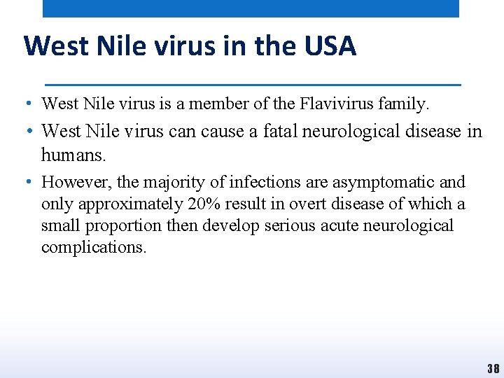 West Nile virus in the USA • West Nile virus is a member of