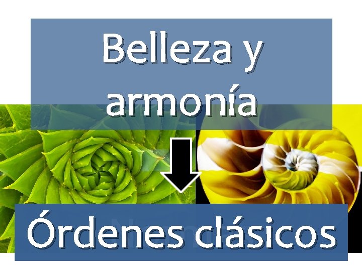 Belleza y armonía Órdenes Normas clásicos 