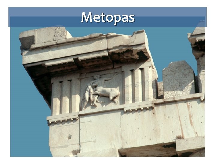 Metopas 