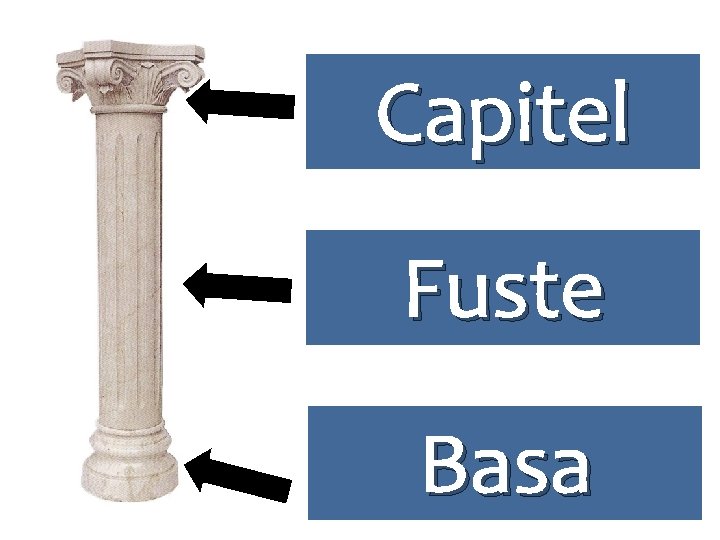 Capitel Fuste Basa 